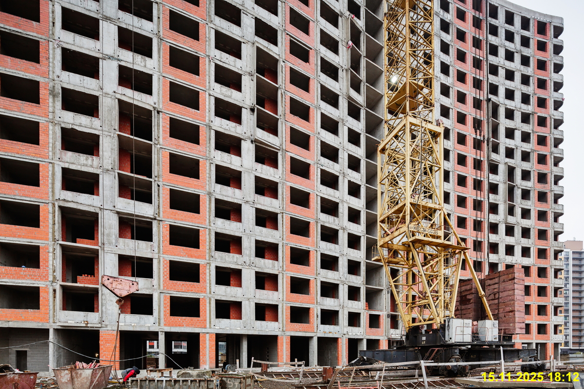 15 ноября 2025