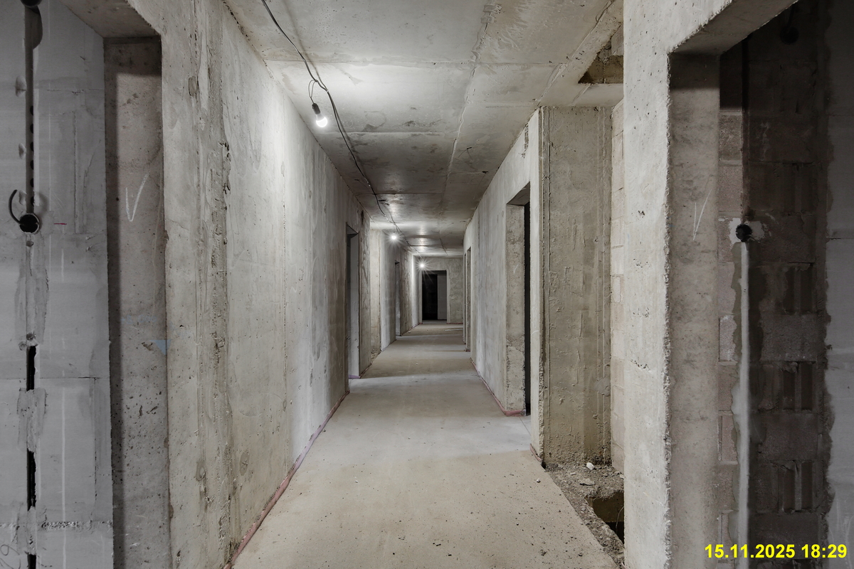 15 ноября 2025