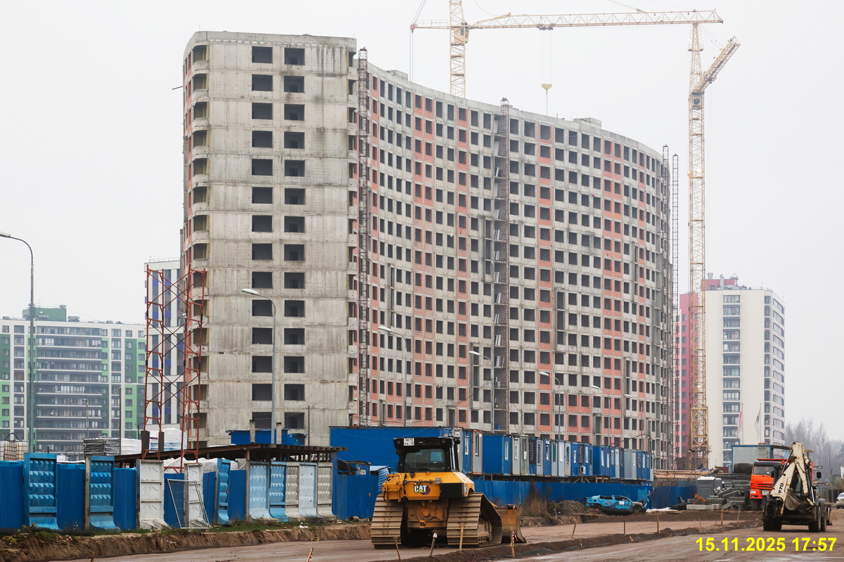 15 ноября 2025