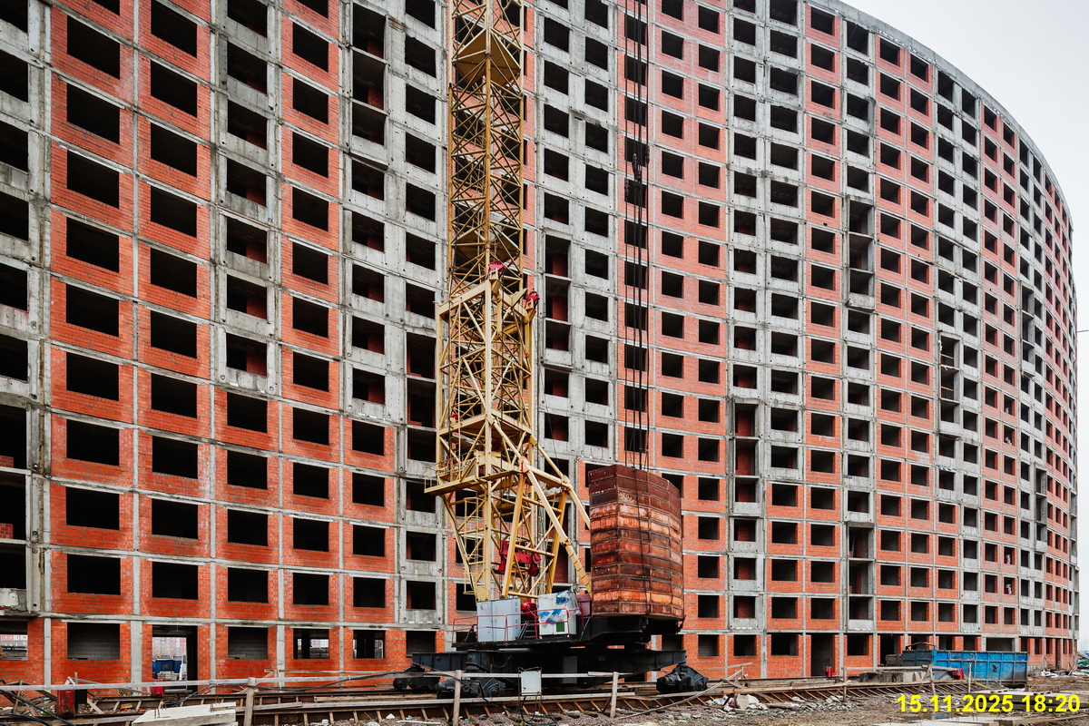 15 ноября 2025