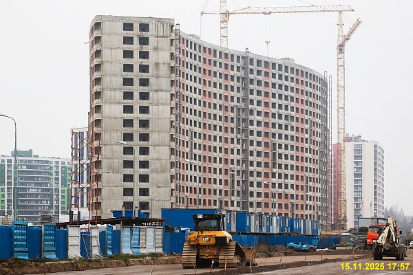 15 ноября 2025