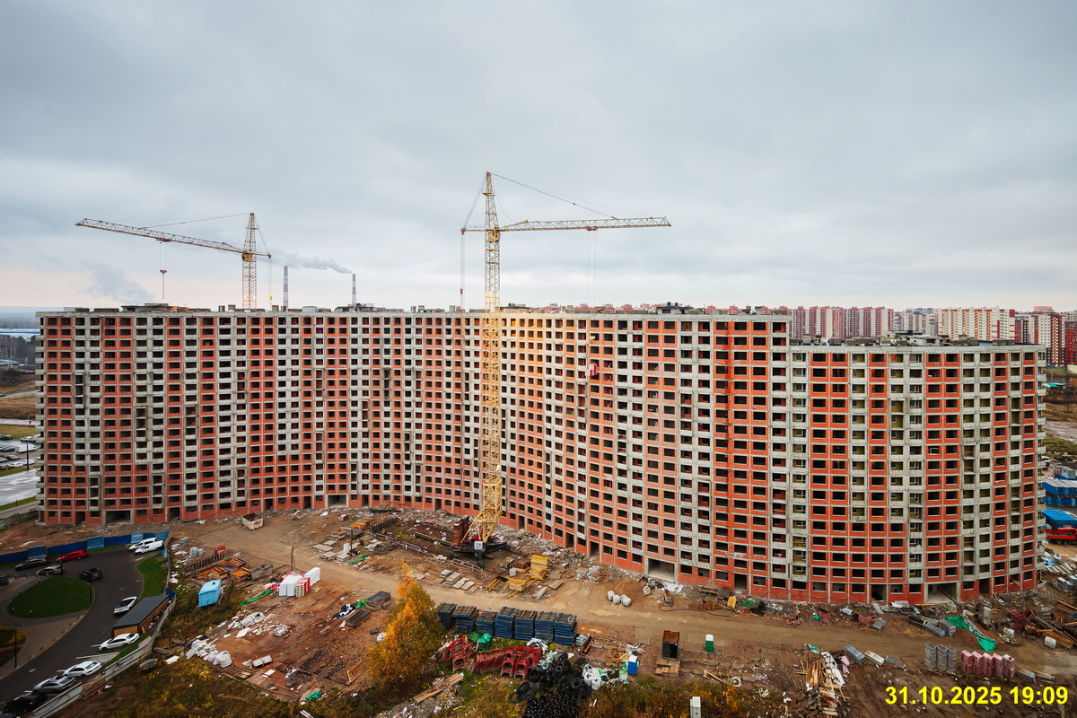 31 октября 2025