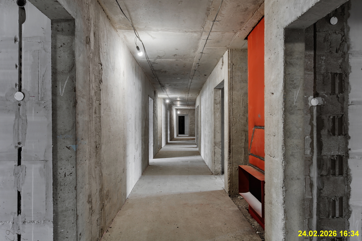 27 февраля 2026