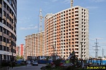 31 августа 2025