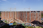 31 августа 2025
