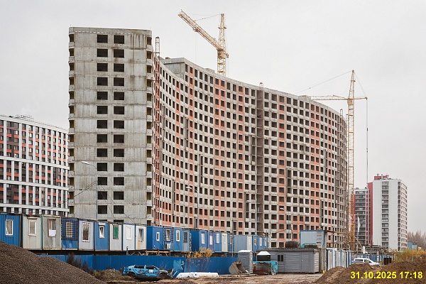 31 октября 2025