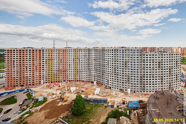 25 мая 2026