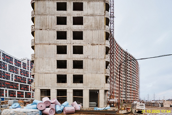 31 октября 2025