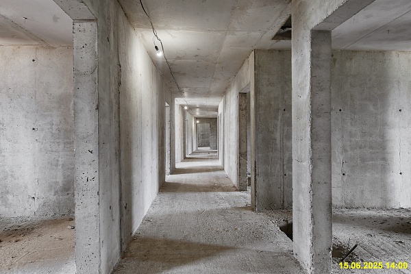 15 июня 2025