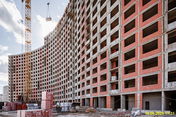 15 августа 2025 15 августа 2025