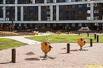 26 августа 2026